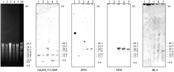 Figure 7.