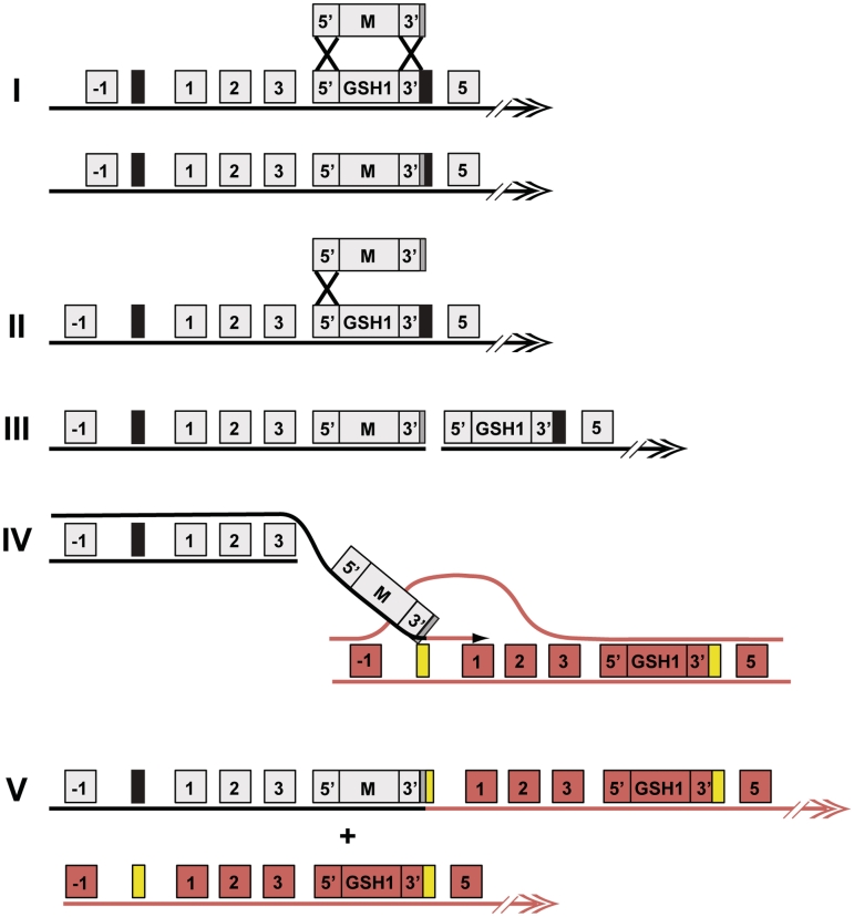 Figure 9.