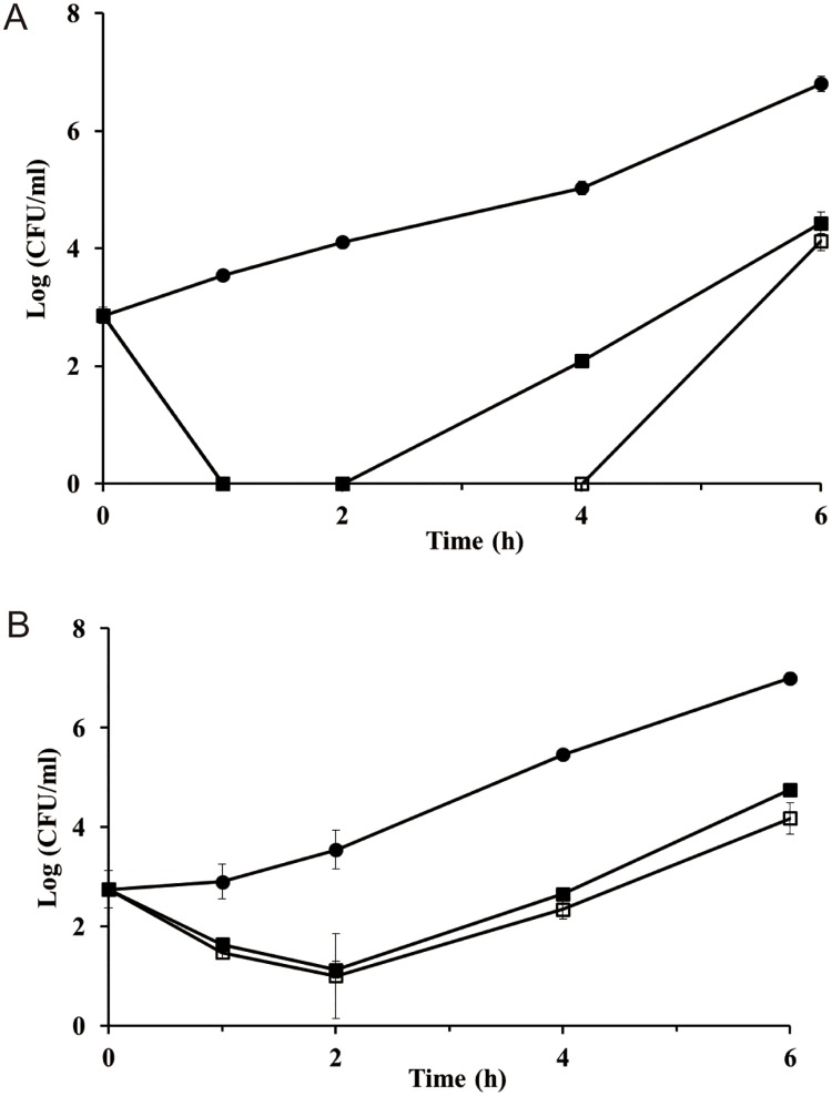 Fig 10