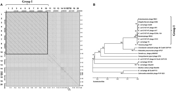 Fig 6