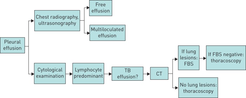 FIGURE 1