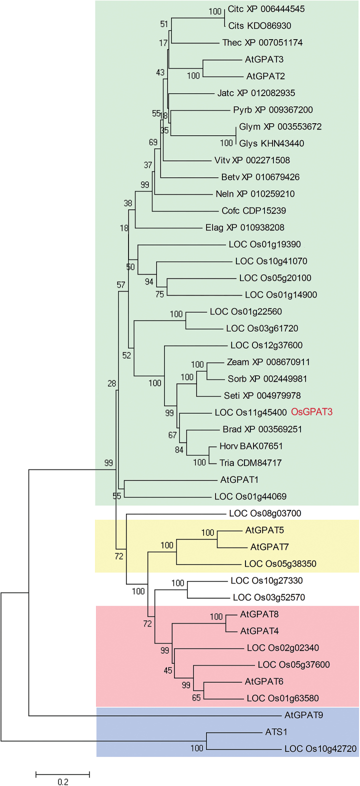 Fig. 7.