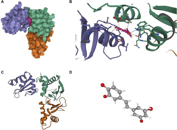 FIGURE 7