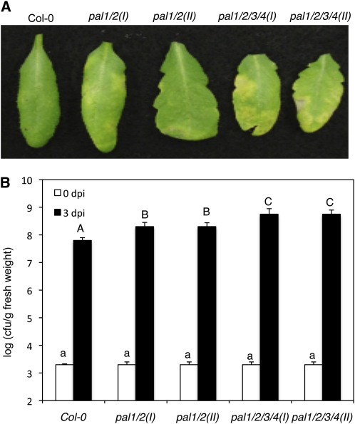 Figure 9.