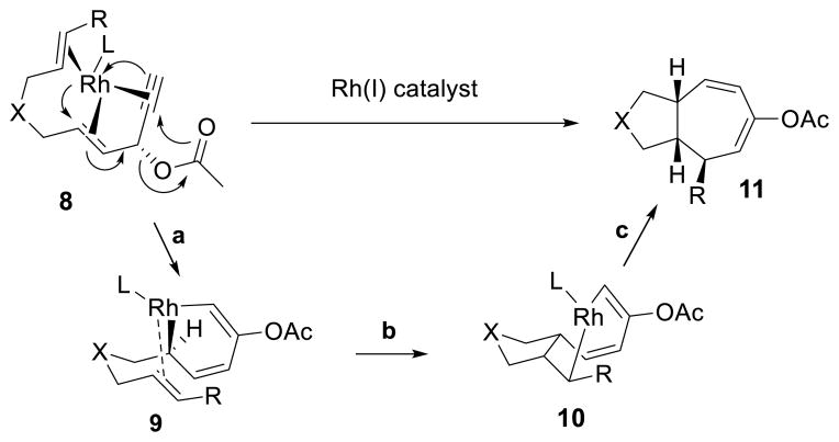 Scheme 6