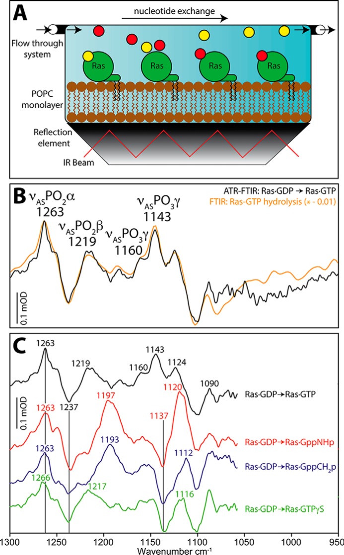 Figure 2.