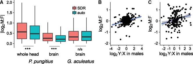 Fig. 7.