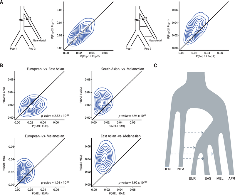 Excavating Neandertal and Denisovan DNA from the genomes of Melanesian ...