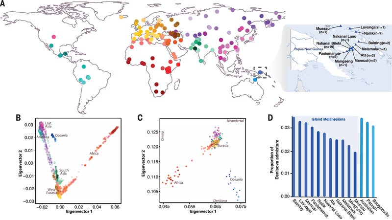 Excavating Neandertal and Denisovan DNA from the genomes of Melanesian ...