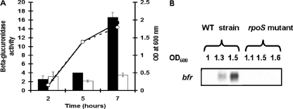 FIG. 10.