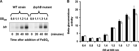 FIG. 9.