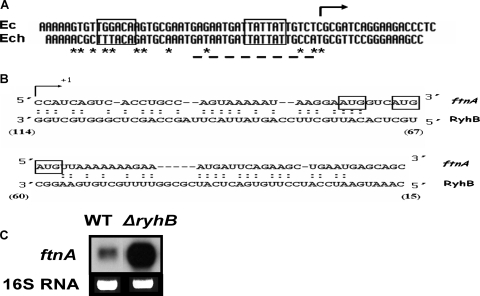 FIG. 7.