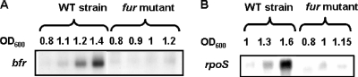 FIG. 11.