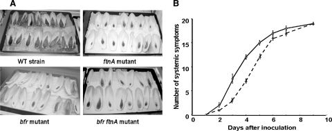 FIG. 6.