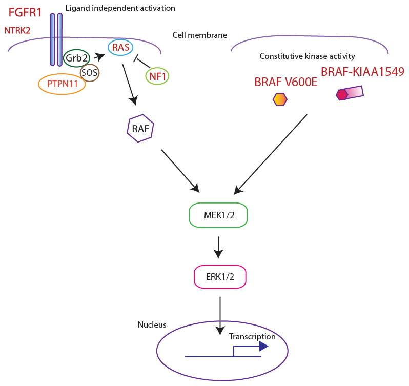 FIG. 1