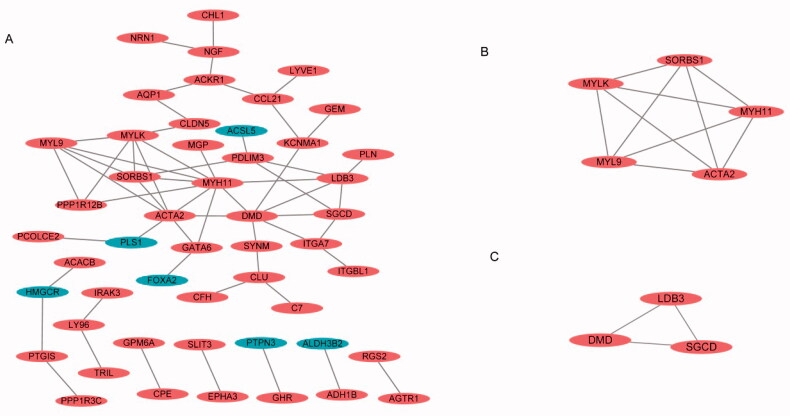 Figure 3.