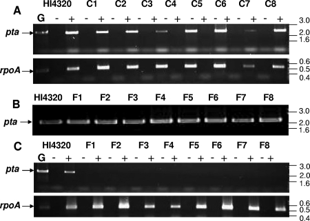 FIG. 8.