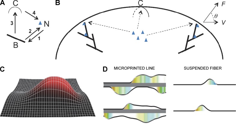 Figure 9.