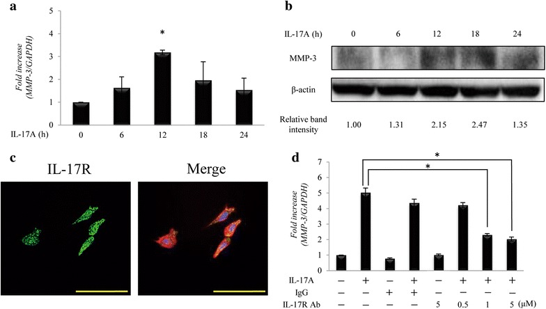 Fig. 1