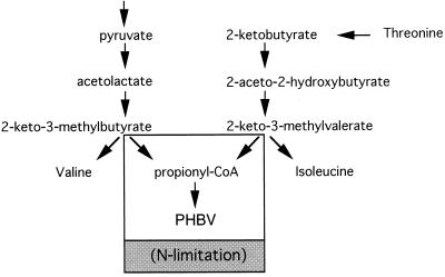 FIG. 13