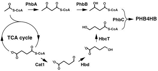 FIG. 15