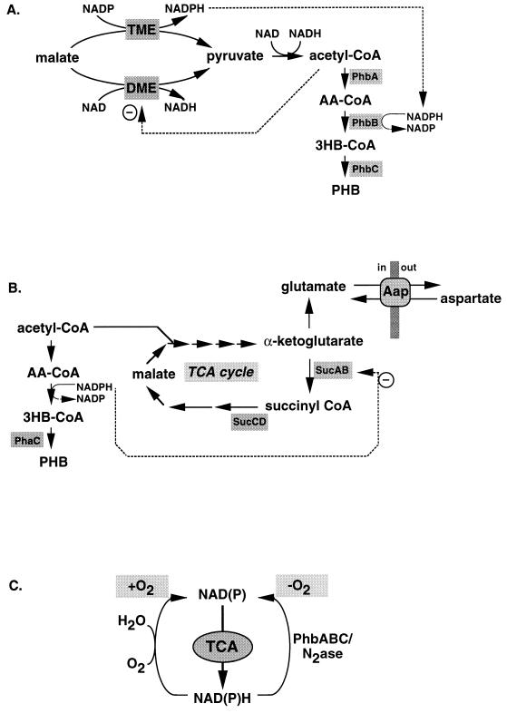 FIG. 11