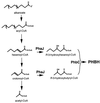 FIG. 7