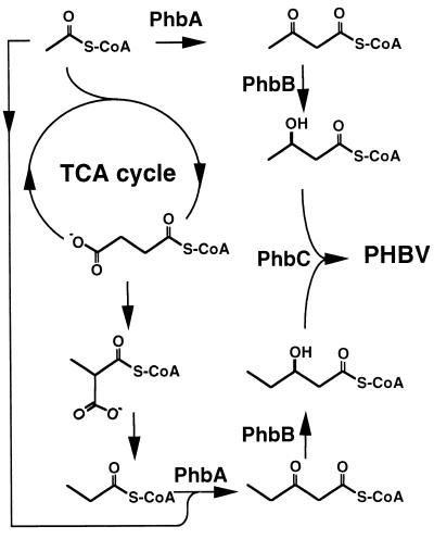 FIG. 8