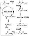 FIG. 8