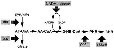 FIG. 12