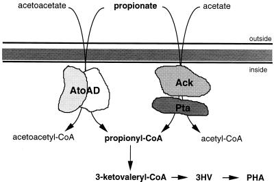 FIG. 14