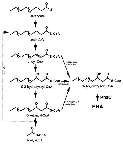 FIG. 9