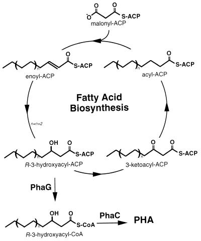 FIG. 10