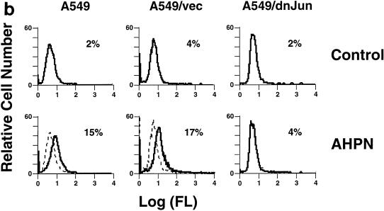 FIG. 8