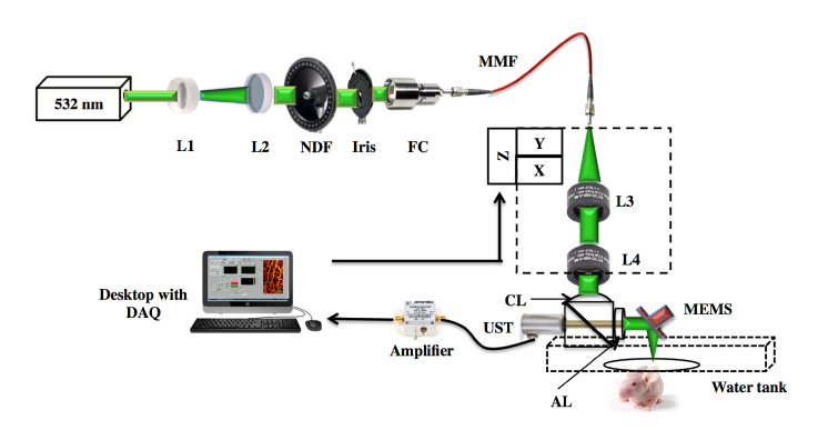 Fig. 1