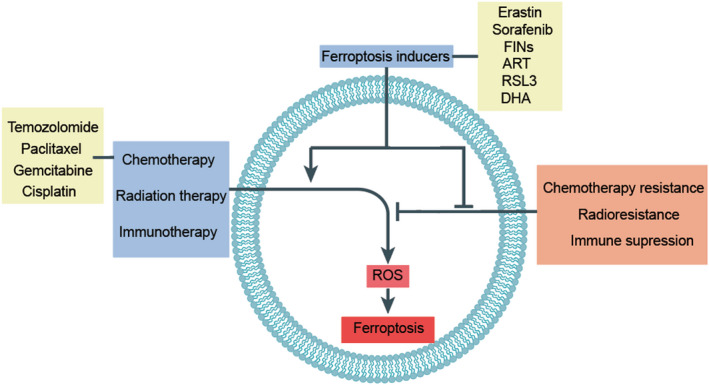 FIGURE 3