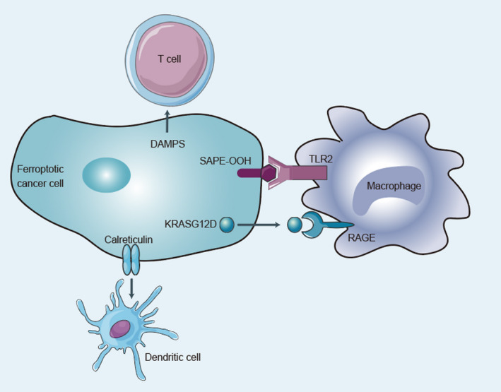 FIGURE 2