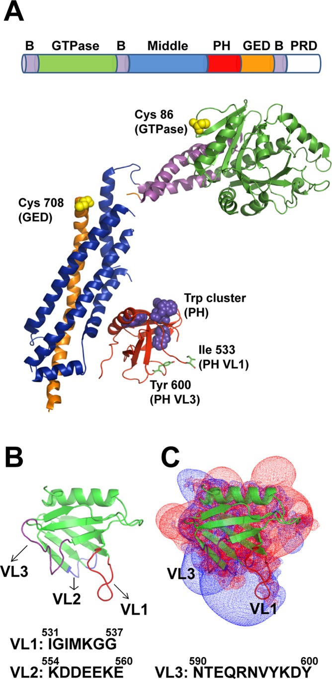 FIGURE 1: