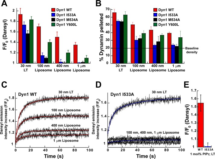 FIGURE 4: