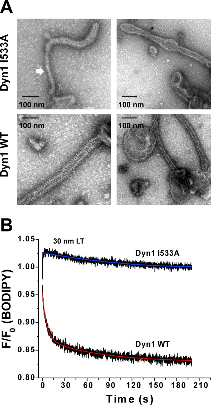 FIGURE 7: