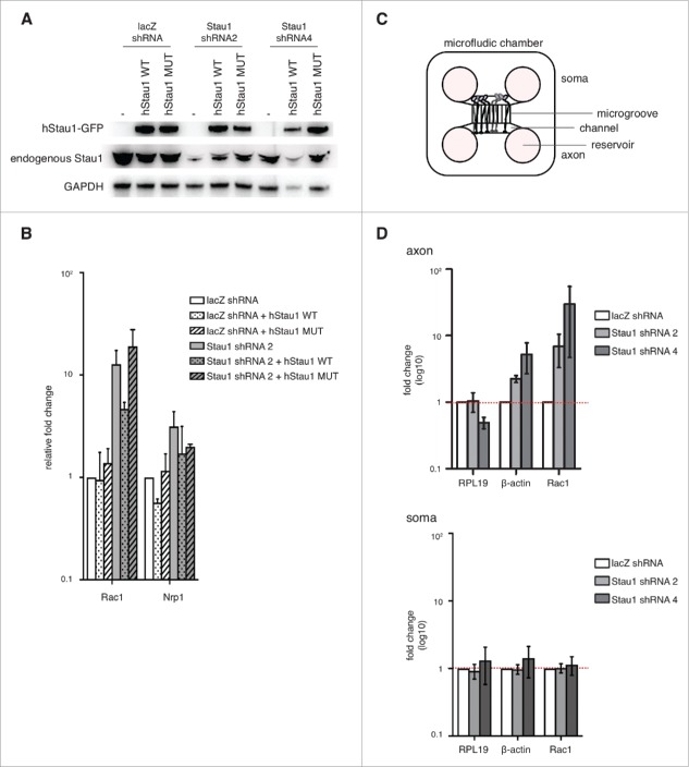 Figure 4.