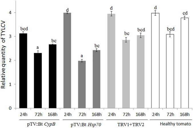 FIGURE 3