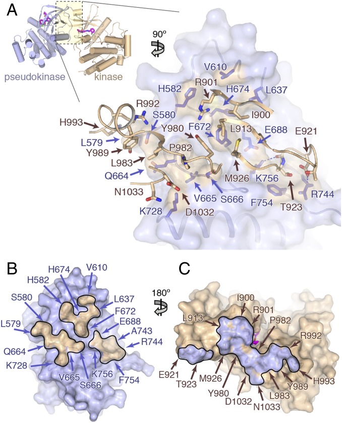 Fig. 3.