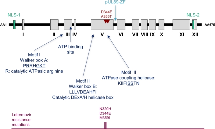 Figure 4.