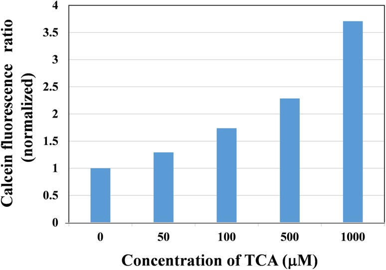 Fig. 3