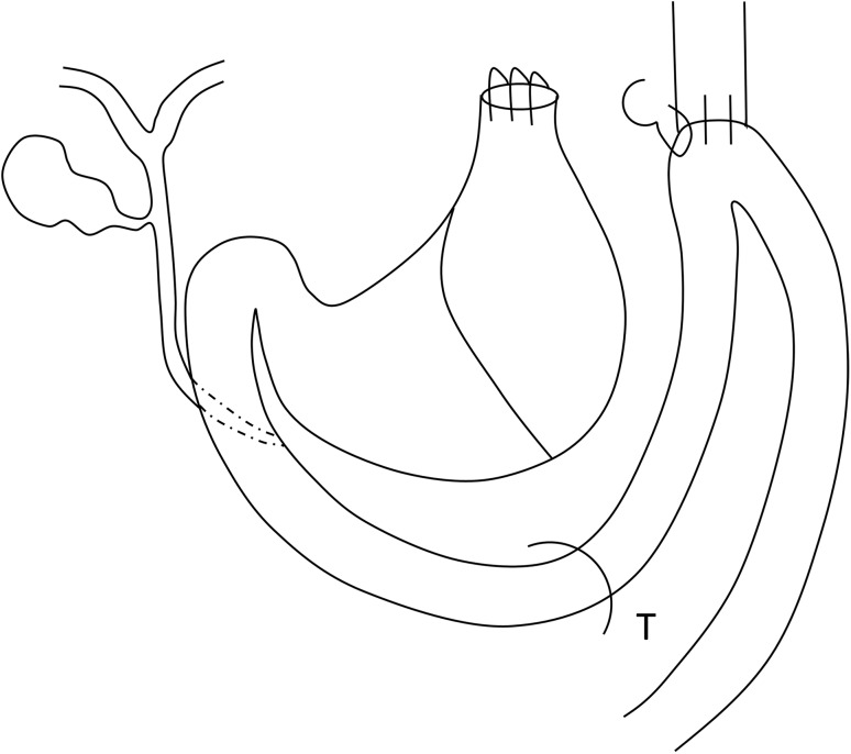 Fig. 1