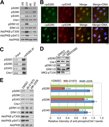 FIGURE 6: