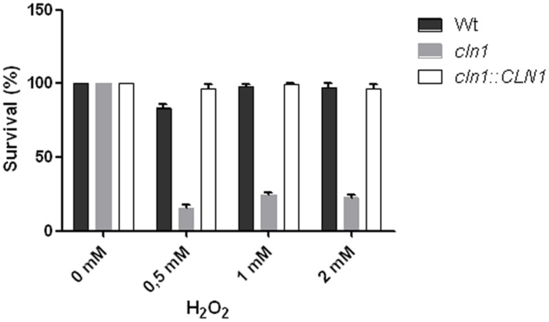 FIGURE 6