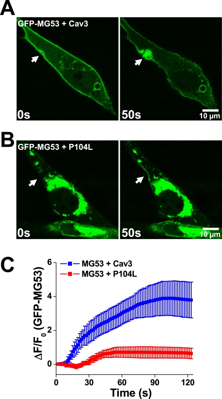 FIGURE 3.