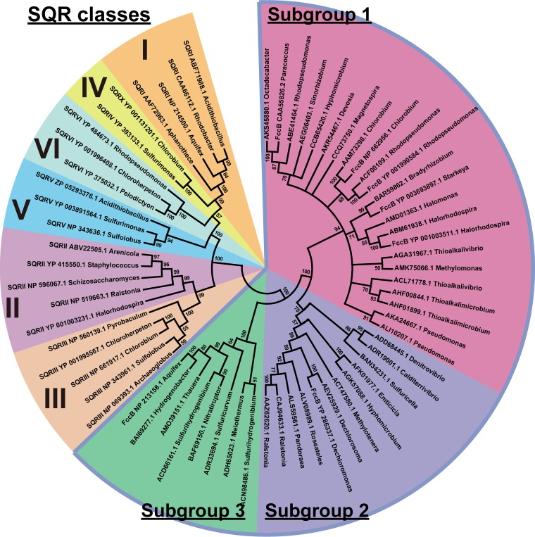 FIG 6